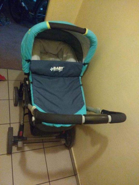 wozek-babydesign-sprint-plus-kod-producenta-11