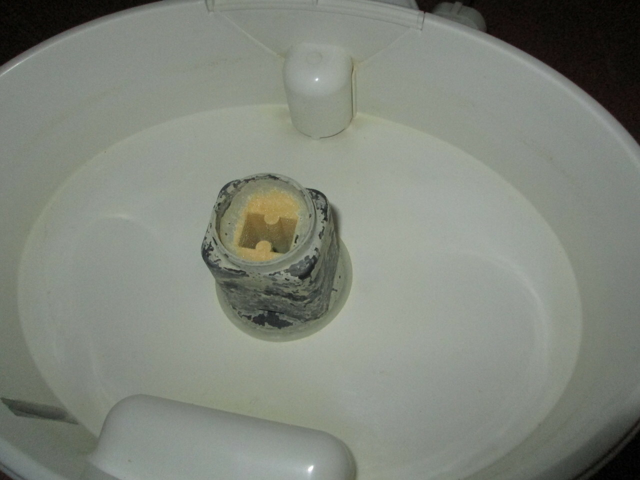 parowar-severin-dg-2423-kolor-dominujacy-bialy