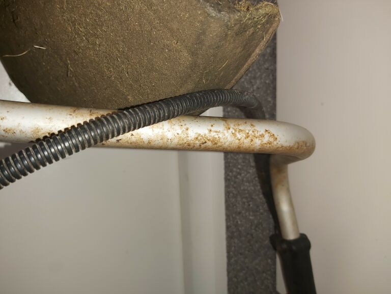 podkaszarka-kosa-spalinowa-grizzly-mts-309-opis-marka-grizzly