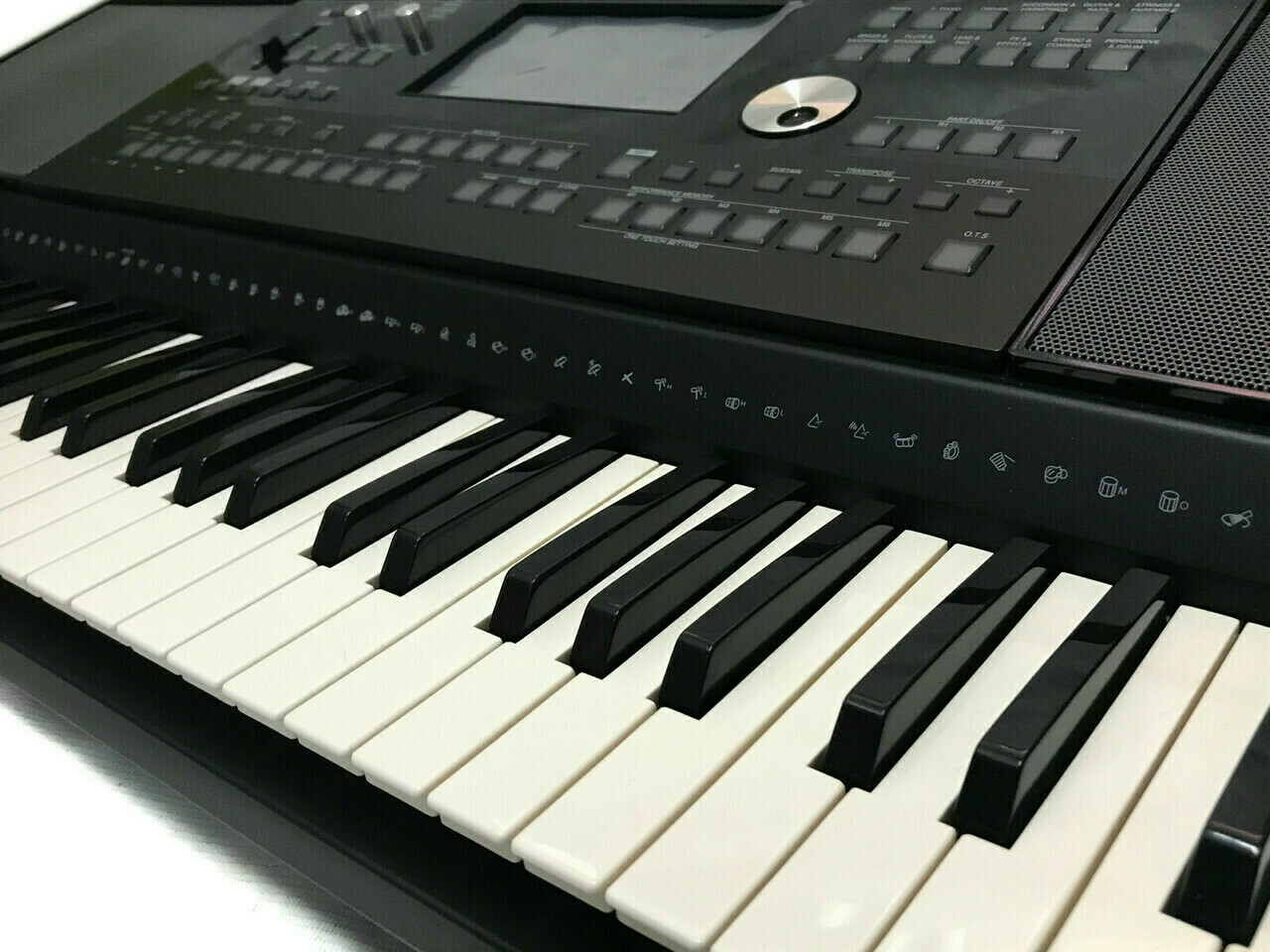 sd
