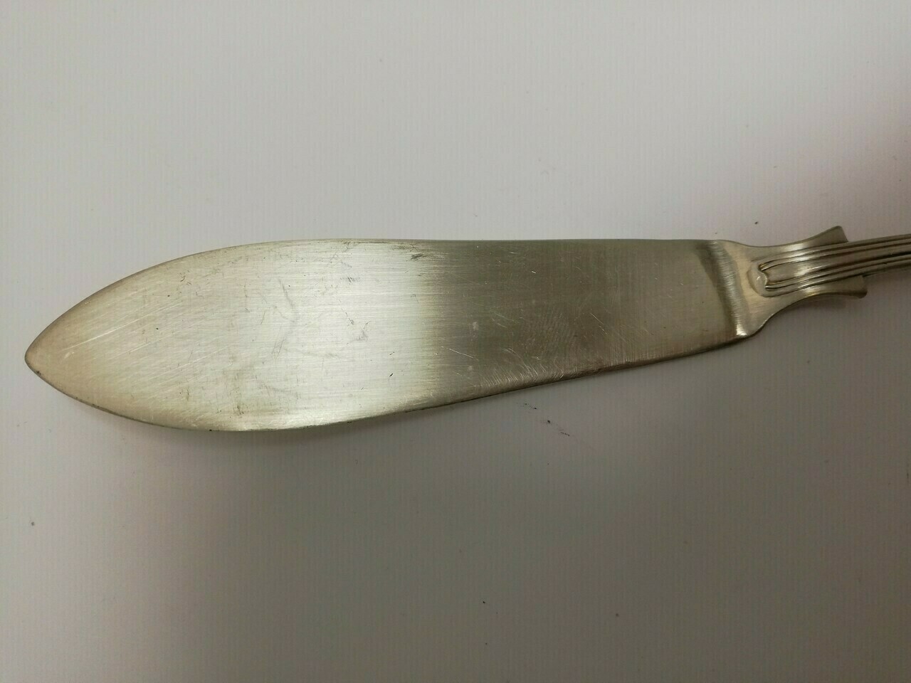 sd