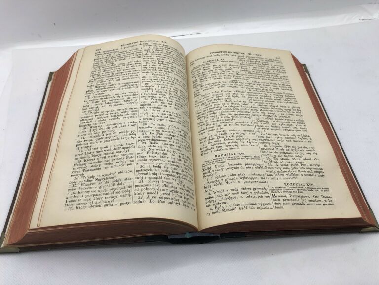 BIBLIA KS. D. JAKÓBA WUJKA, LIPSK 1898