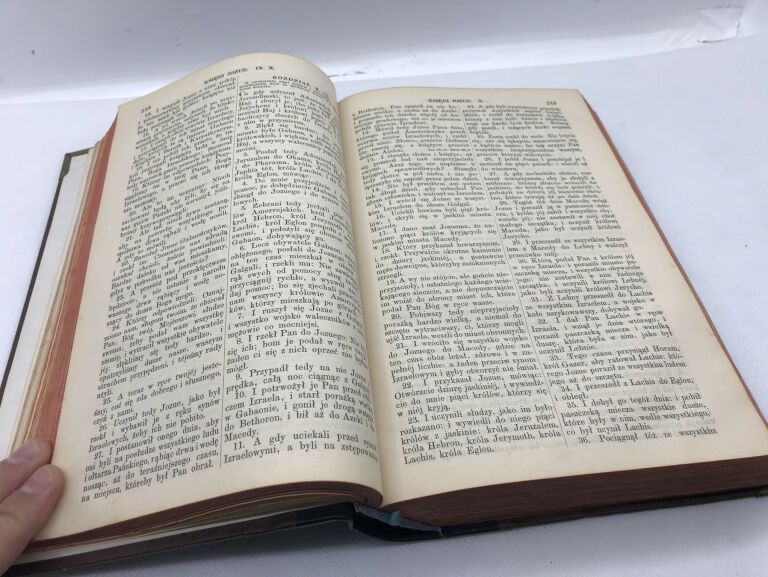 BIBLIA KS. D. JAKÓBA WUJKA, LIPSK 1898