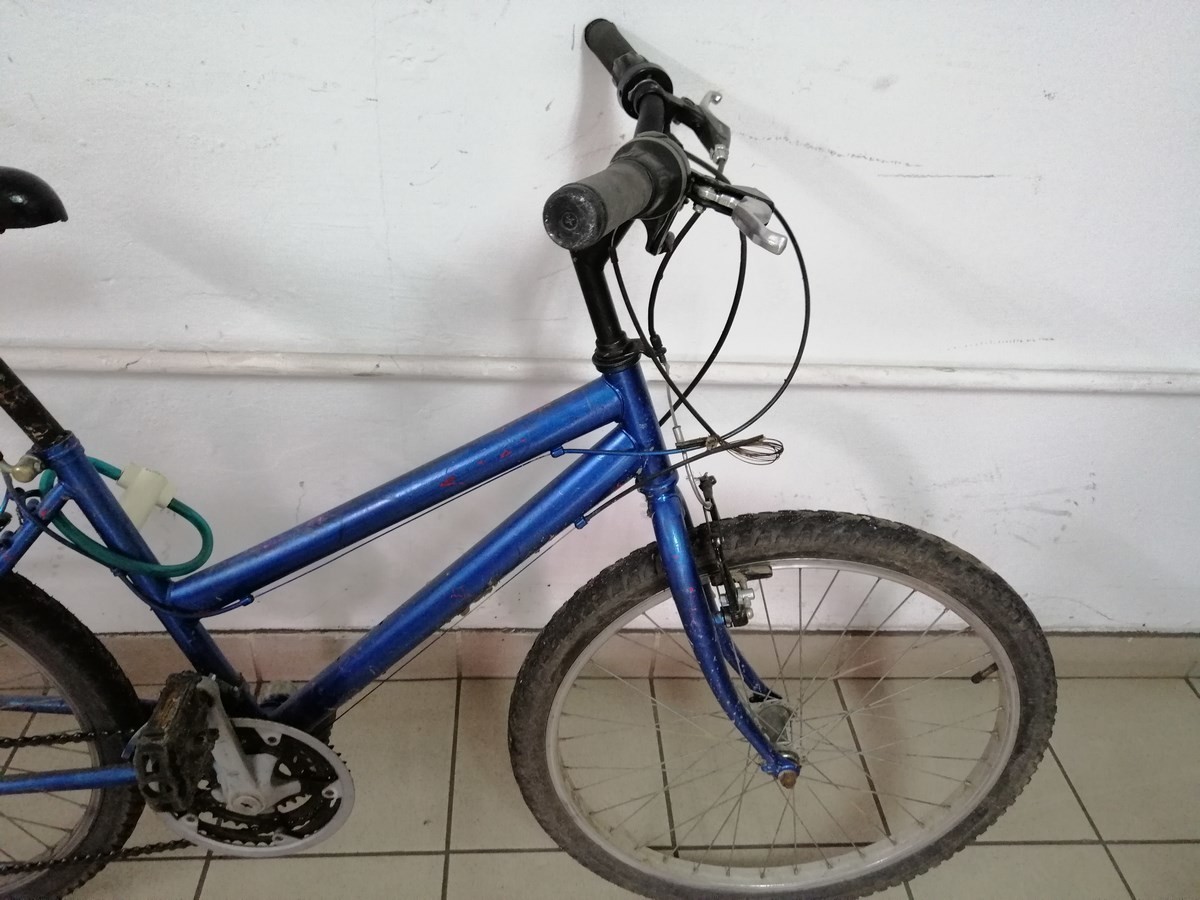 rower-rozmiar-kola-24