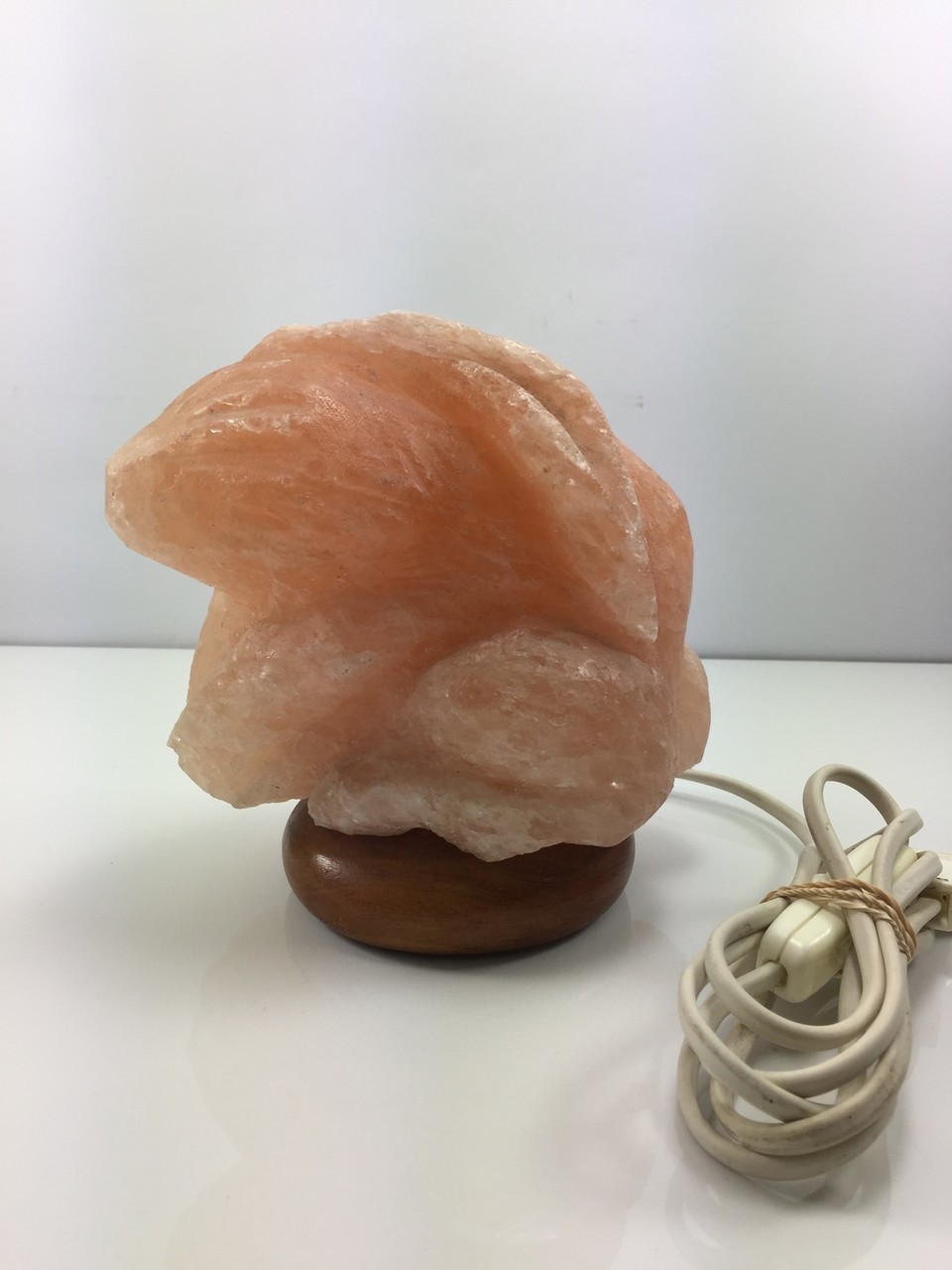 naturalny-jonizator-powietrza-solny-krolik-wierzbiecice-10-poznan-ska-x