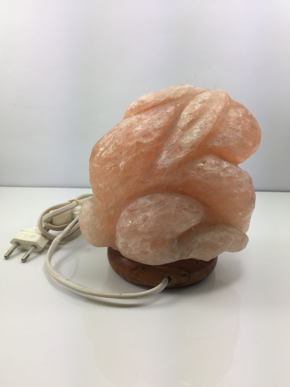 naturalny-jonizator-powietrza-solny-krolik-wierzbiecice-10-poznan-ska-x