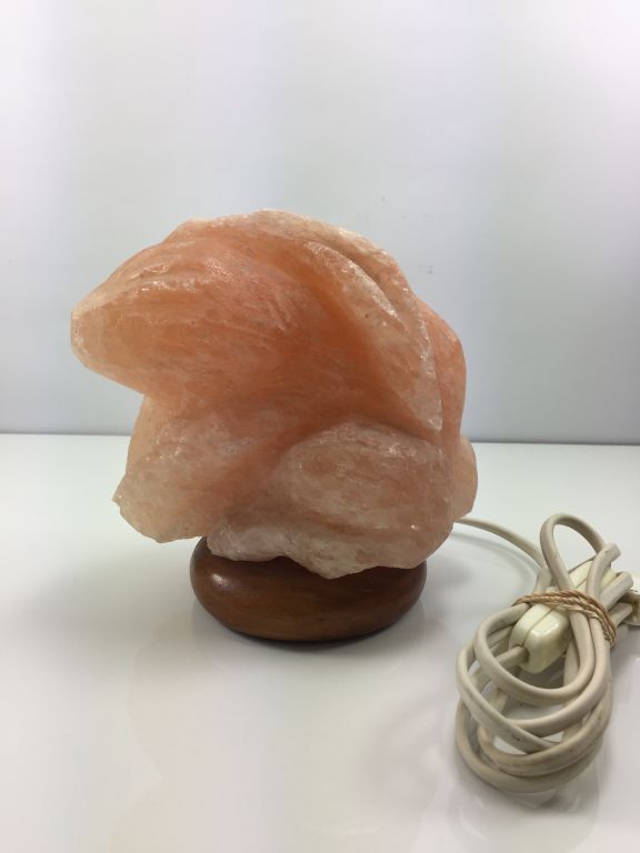 naturalny-jonizator-powietrza-solny-krolik-wierzbiecice-10-poznan-ska-x