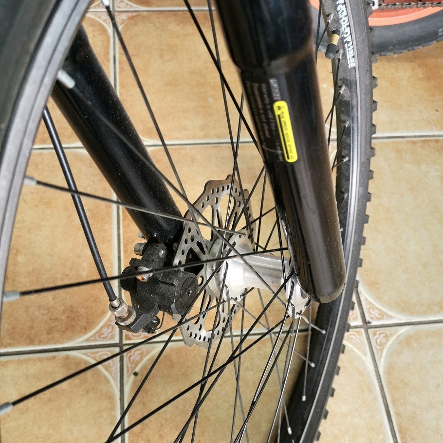 rower-torpado-eagle-waga-10