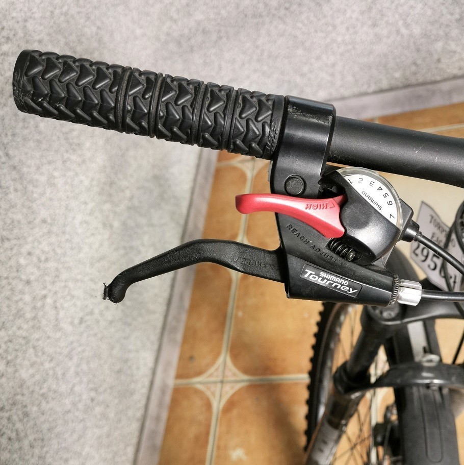 rower-torpado-eagle-rozmiar-kola-inny