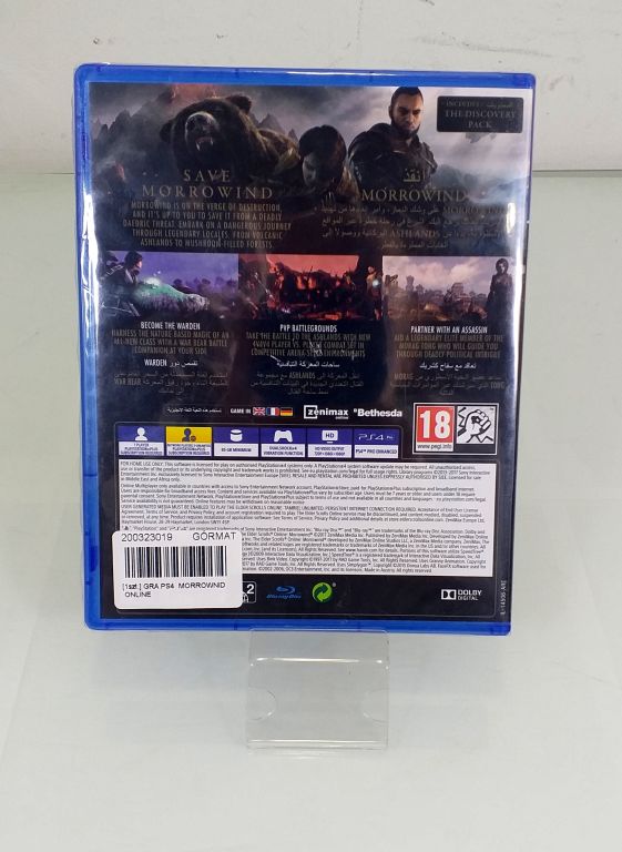 GRA PS4 MORROWNID ONLINE