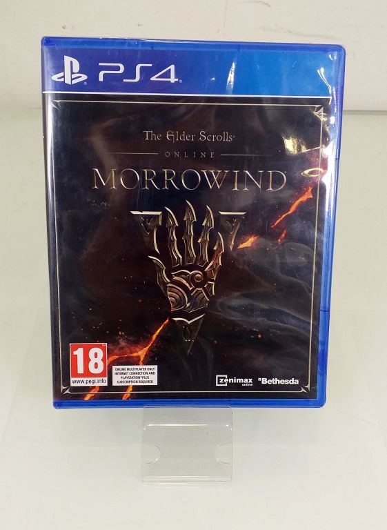 GRA PS4 MORROWNID ONLINE