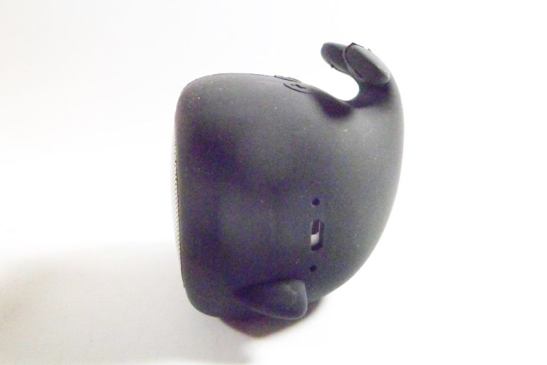 glosnik-forever-willy-marka-forever