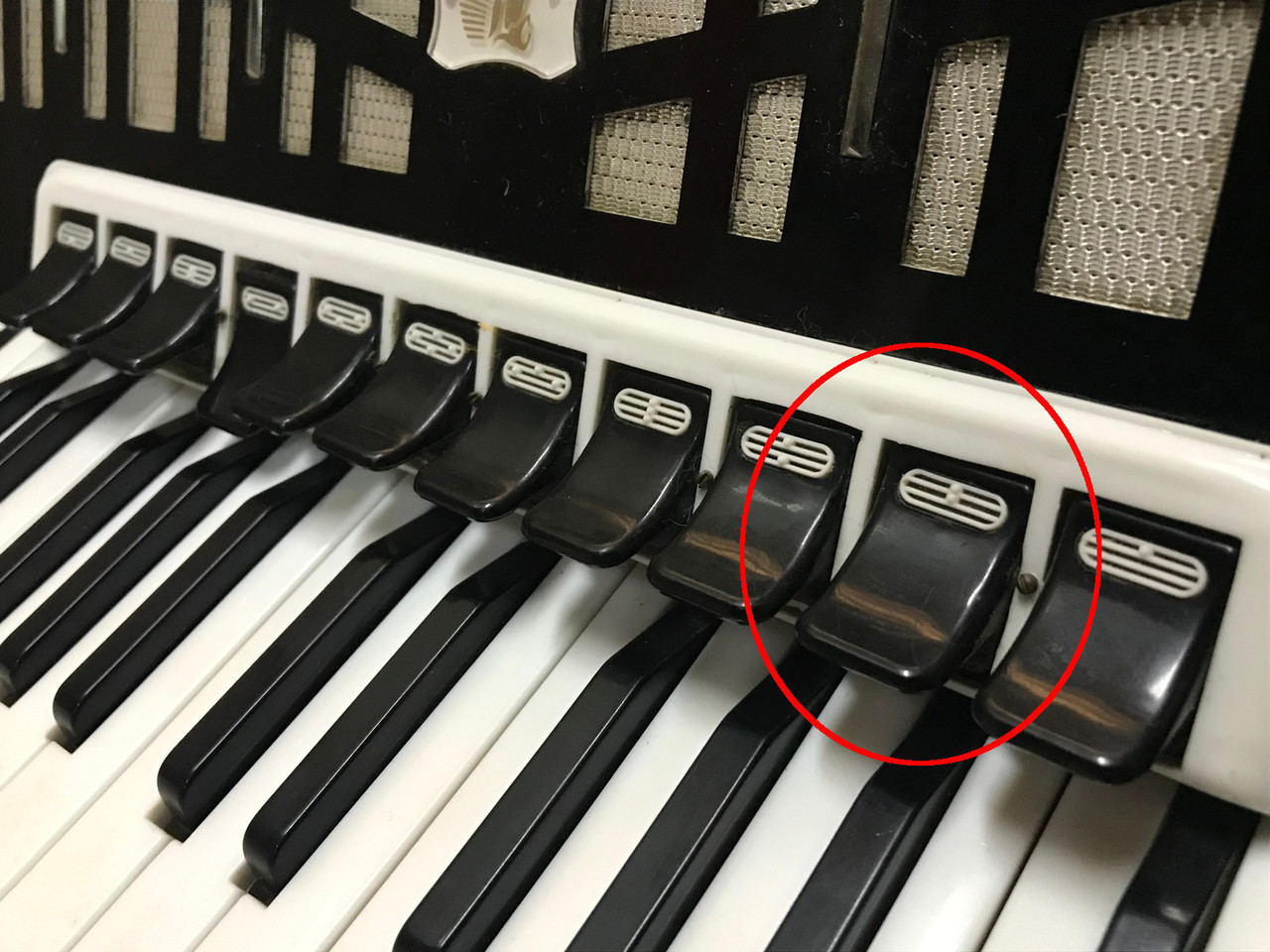 akordeon-carmen-120-basow-grunwaldzka-16-jaroslaw