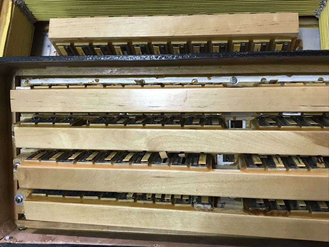 akordeon-carmen-120-basow-grunwaldzka-16-jaroslaw