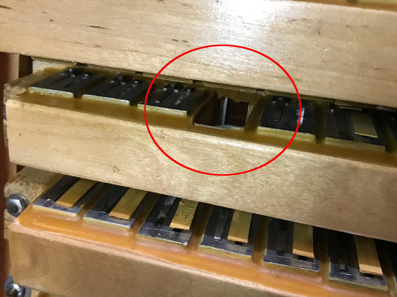 akordeon-carmen-120-basow-marka-carmen