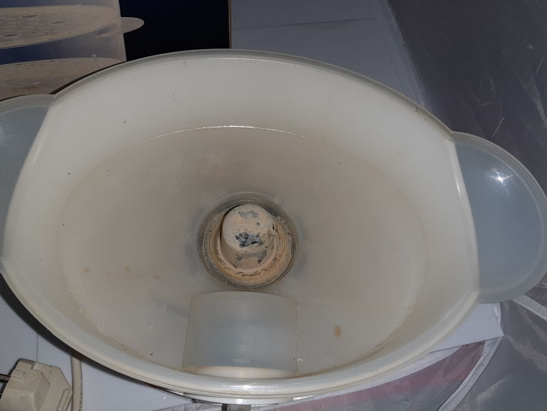 urzadzenie-do-gotowania-na-parze-tesco-steamer-stan-uzywany