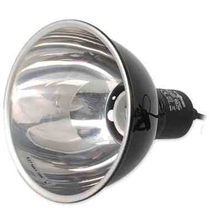 lampa-repti-planet-done-lamp-150w-daszynskiego-22-sj-wroclaw