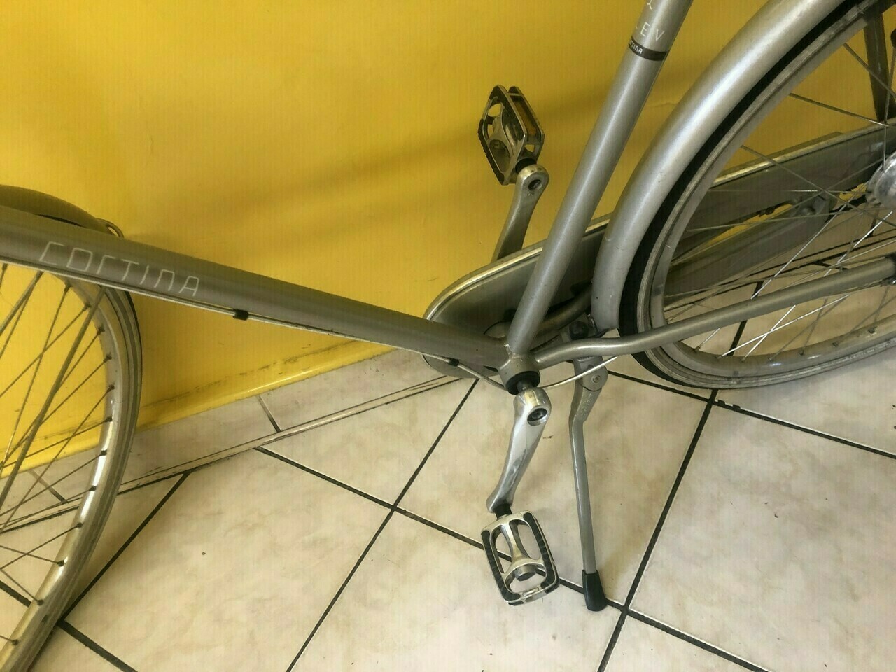 rower-cortina-olev-h61-champagne-nd5-plec-130411-1030181