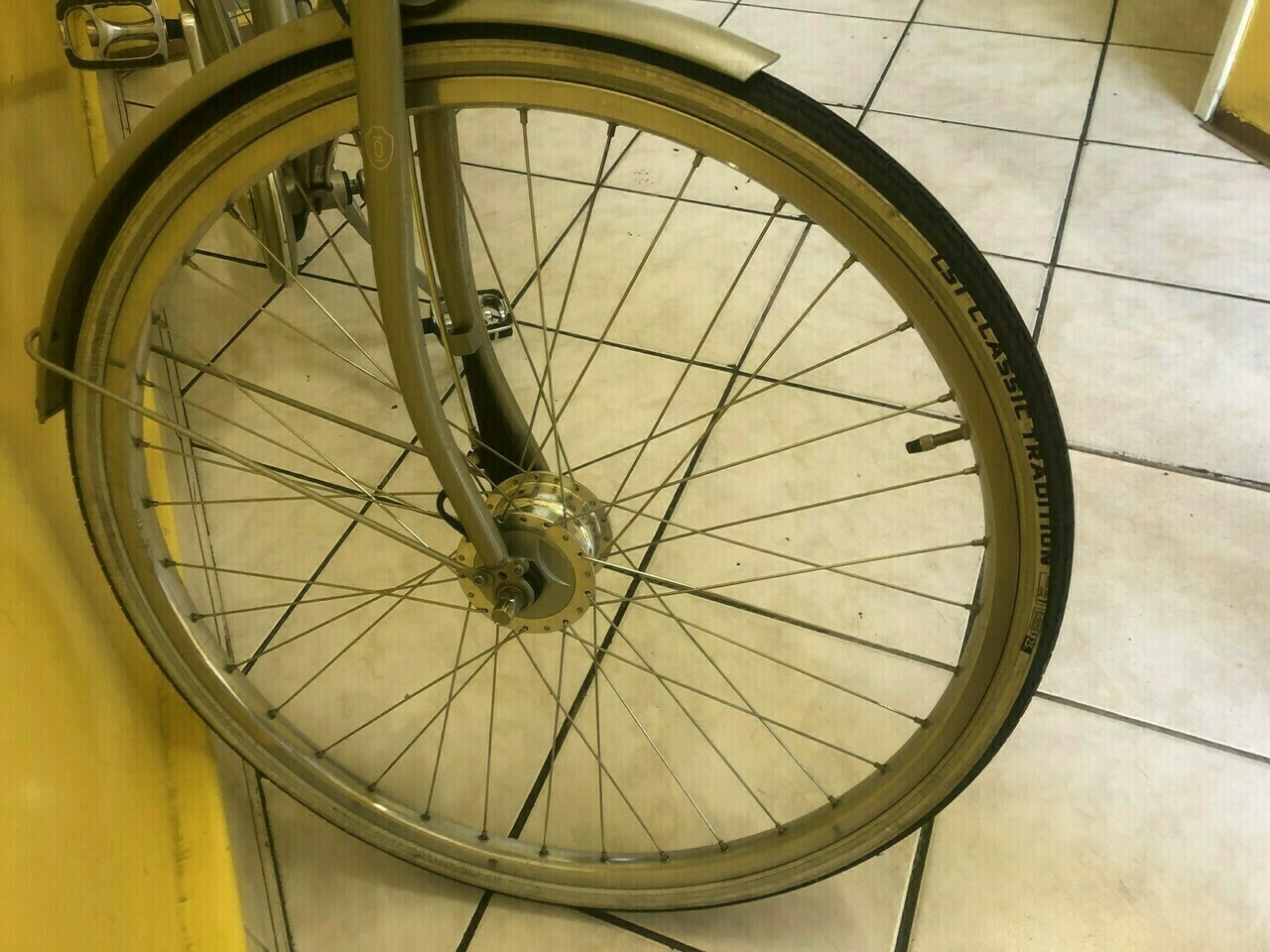 rower-cortina-olev-h61-champagne-nd5-stan-11323-2