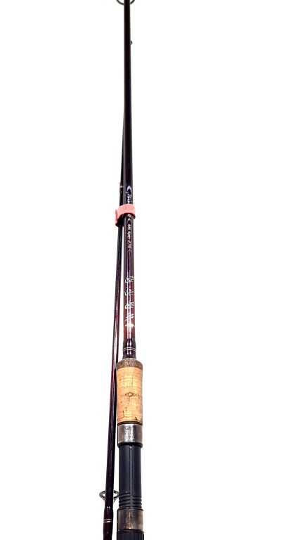 WĘDKA MIKADO TSUBAME MS SPIN 270 5-25
