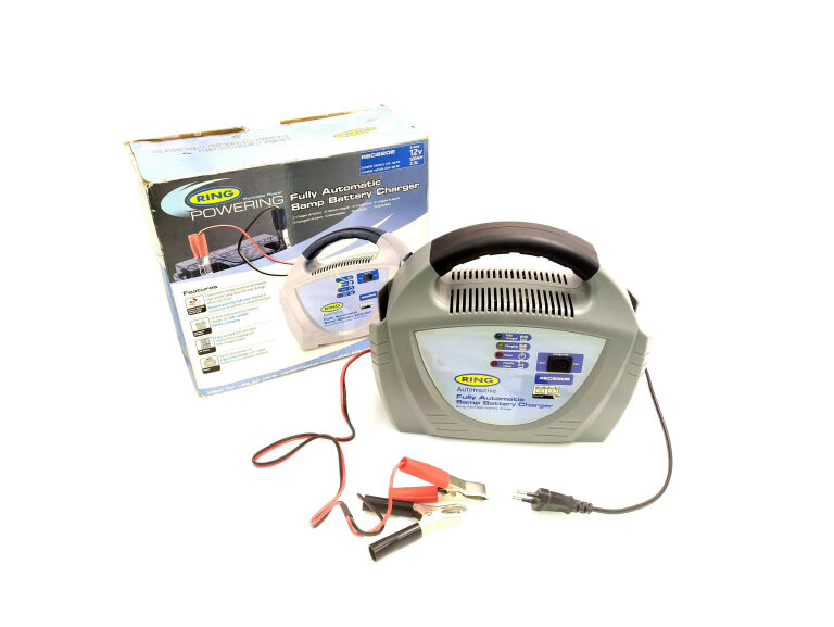 RING PROSTOWNIK ŁADOWARKA 12V 8A RECB208