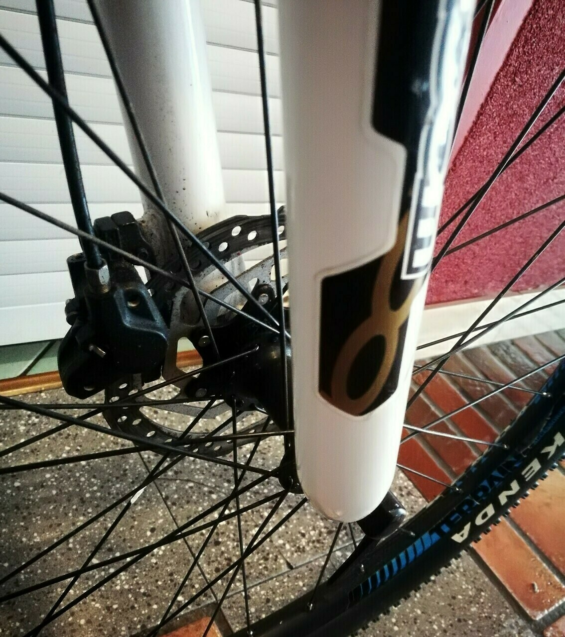 rower-white-xc-260-pro-19-rozmiar-ramy-14-cali