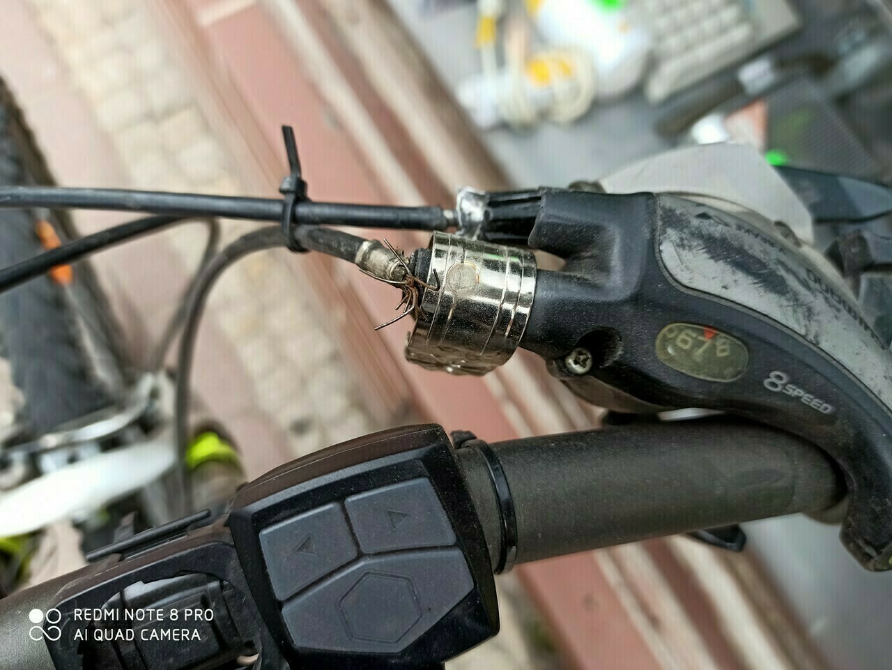 sd