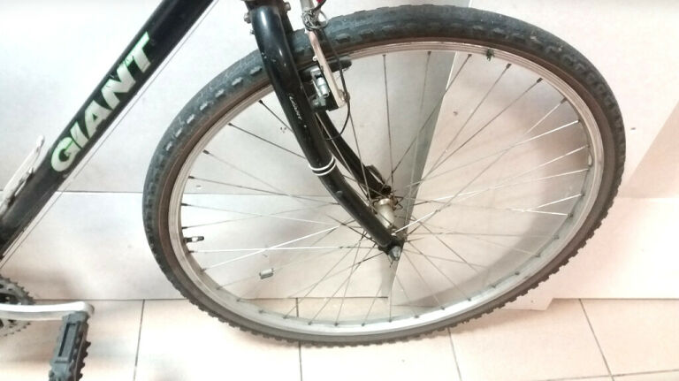ROWER GIANT X 500