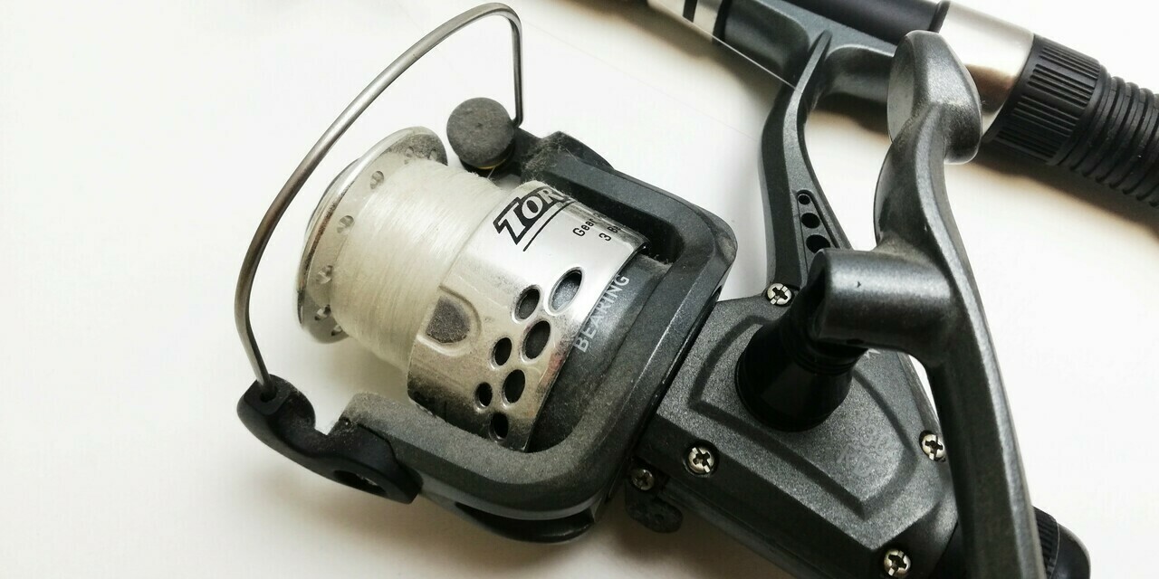 sd