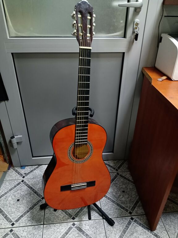 GITARA MSA C20