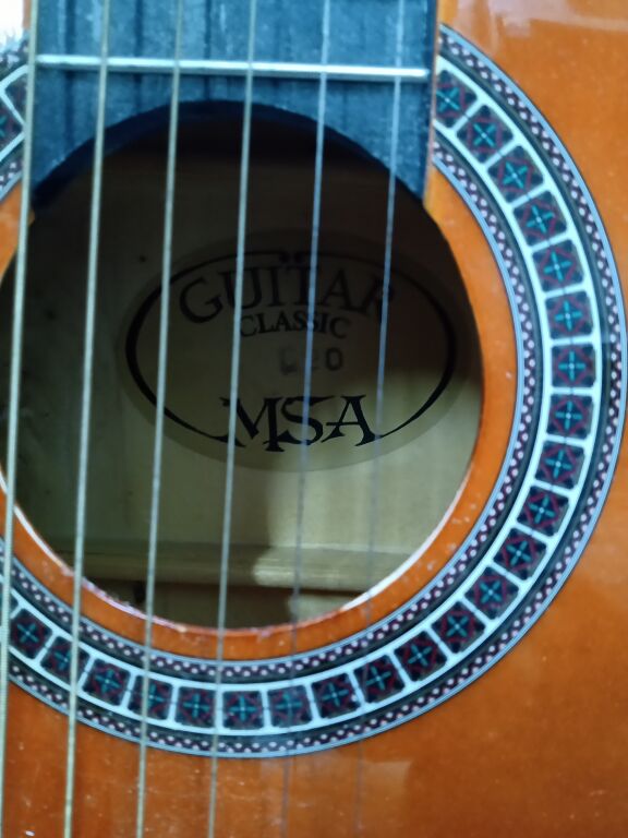 GITARA MSA C20