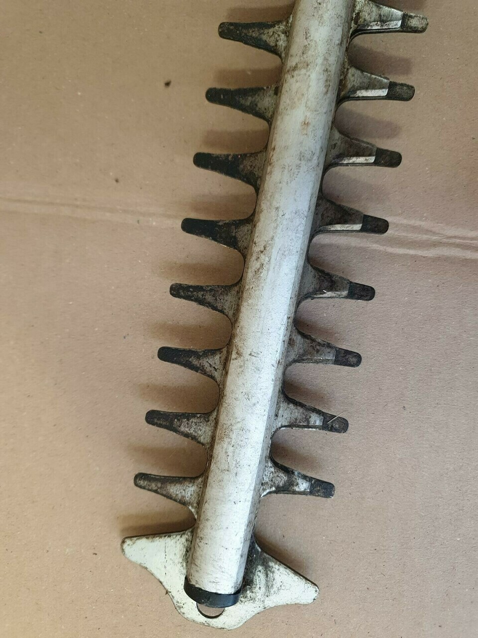 sd