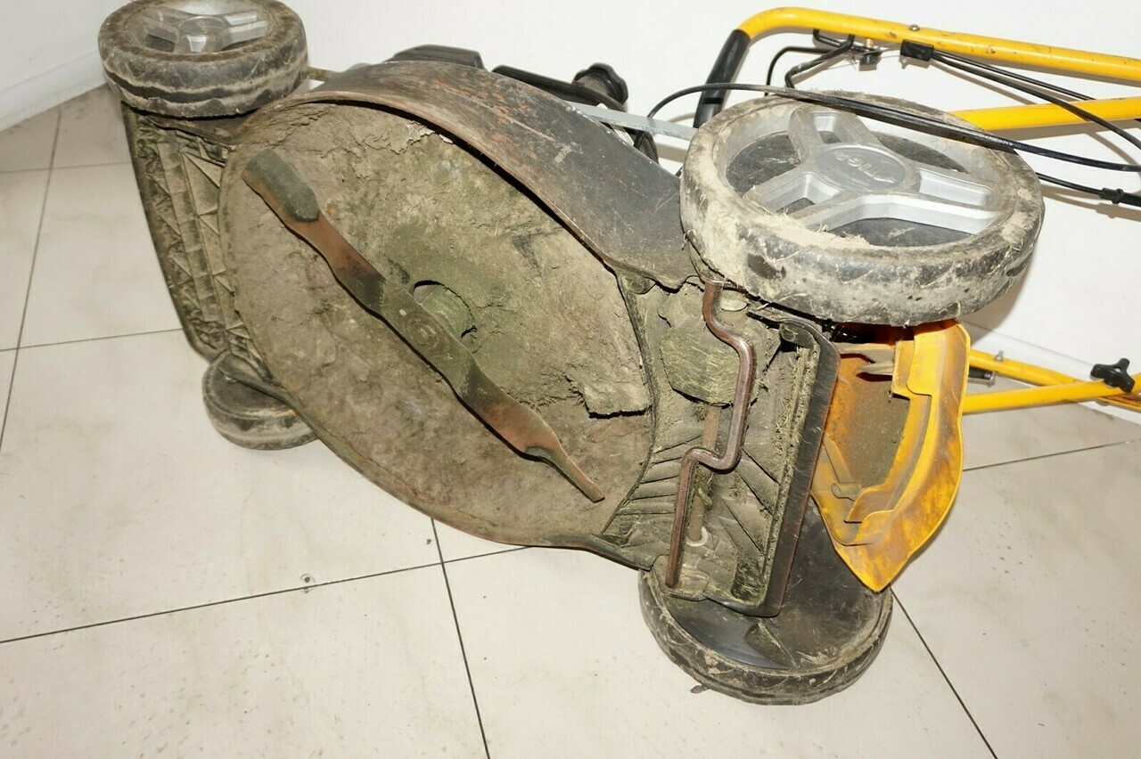 sd