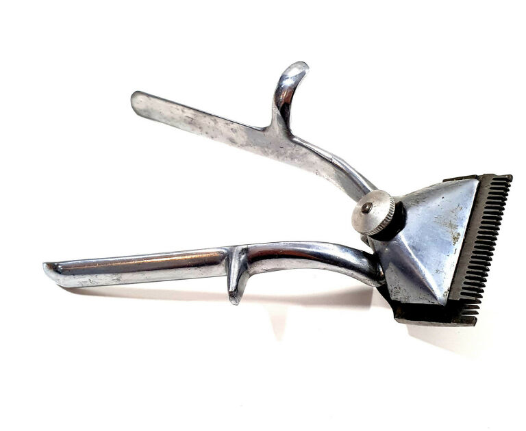 zabytkowa-maszynka-do-strzyzenia-theodosia-radna-1-wolow-gracja