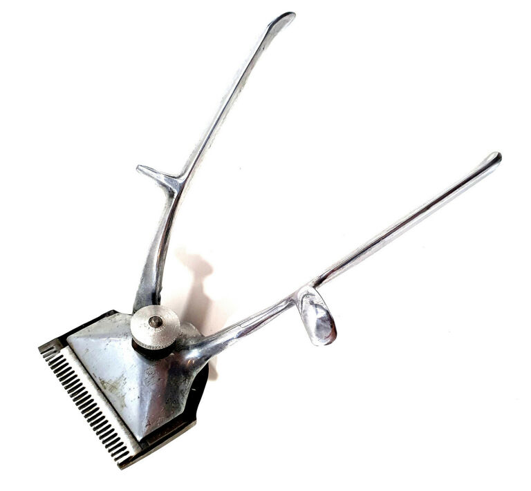 zabytkowa-maszynka-do-strzyzenia-theodosia-radna-1-wolow-gracja