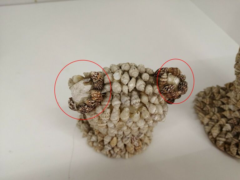 figurki-z-muszelek-urzedowska-14b-krasnik