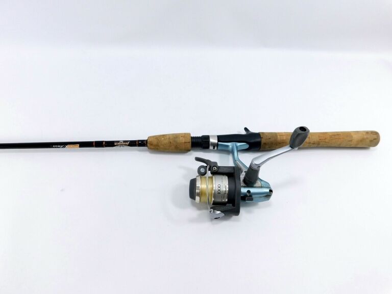 wedka-fenwick-bassclass-im6-graphite-bctc63-192cm-zwyciestwa-28-busko-zdroj-palladium