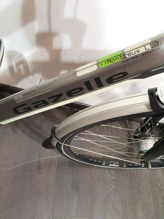 ROWER GAZELLE MONTREUX LTD