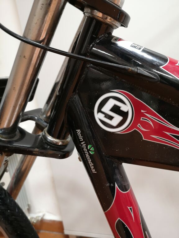 ROWER STING RAY CHOPPER REIN VEENENDAAL