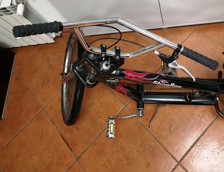 ROWER STING RAY CHOPPER REIN VEENENDAAL