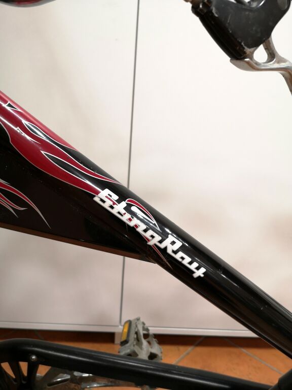 ROWER STING RAY CHOPPER REIN VEENENDAAL