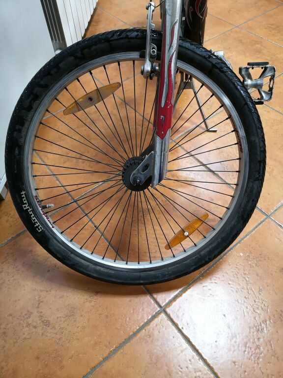 ROWER STING RAY CHOPPER REIN VEENENDAAL