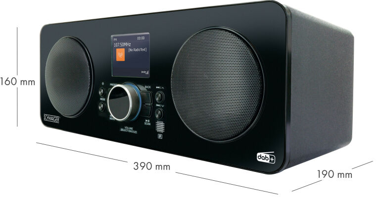 RADIO SCHWAIGER DAB 650