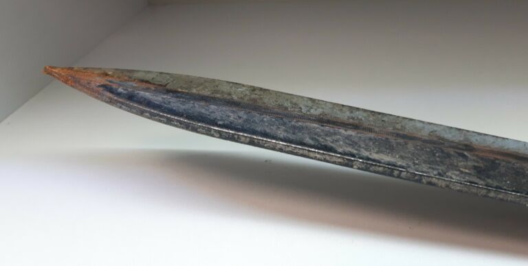 sekator-verve-stan-uzywany