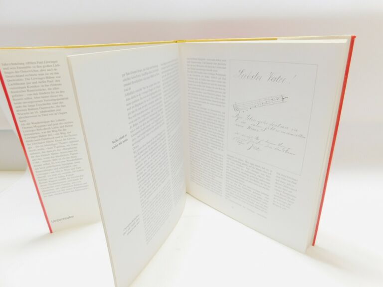 ksiazka-die-lowinger-buhne-das-burgtheater-fur-de-stan-uzywany