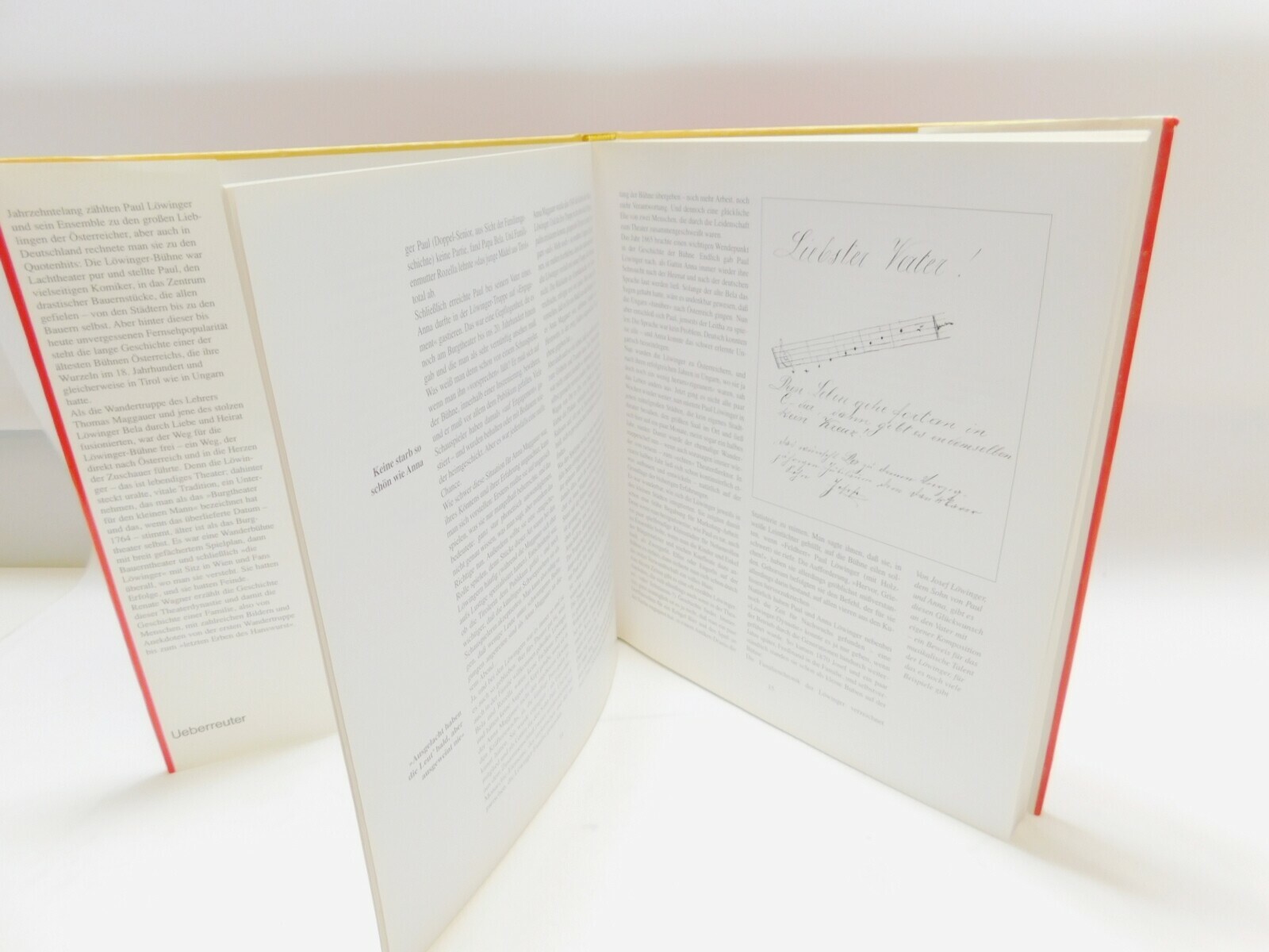 ksiazka-die-lowinger-buhne-das-burgtheater-fur-de-stan-uzywany