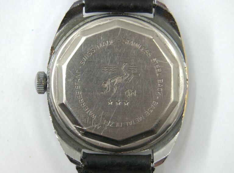 ZEGAREK LUCERNE DIVER