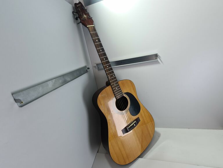 GITARA MONTANA MT-304N