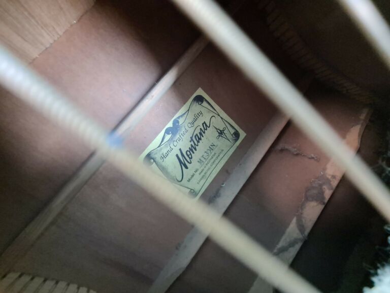 GITARA MONTANA MT-304N