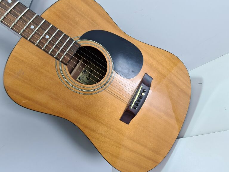 GITARA MONTANA MT-304N